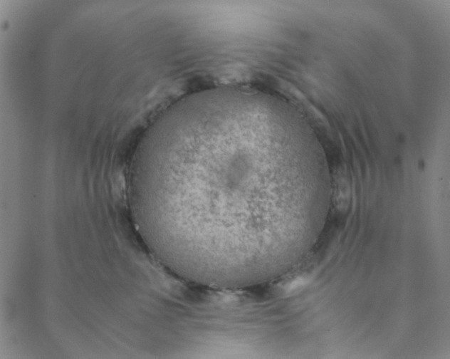 X0000088580523200706081126