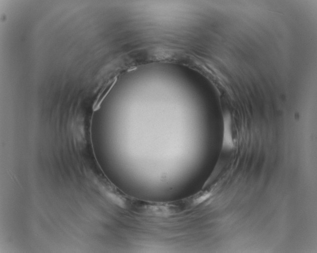 X0000088580524200706081126