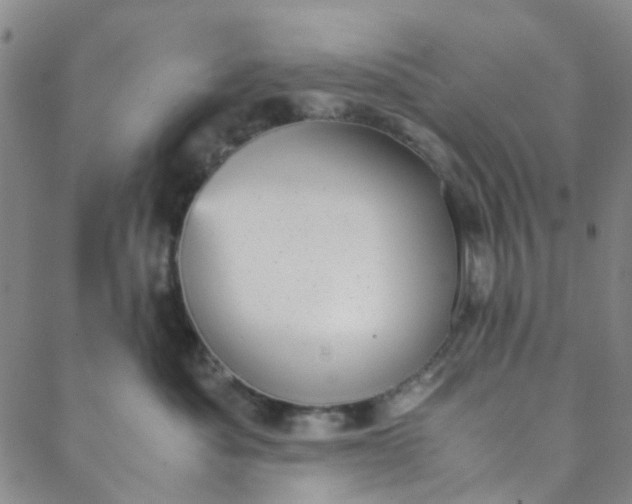 X0000088580525200706081126