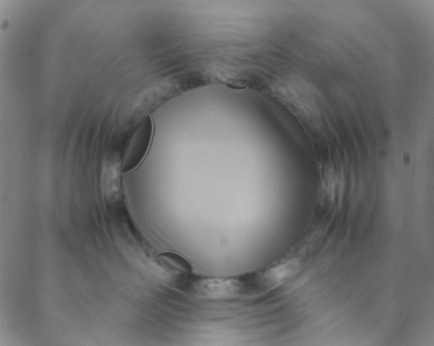 X0000088580526200706081126