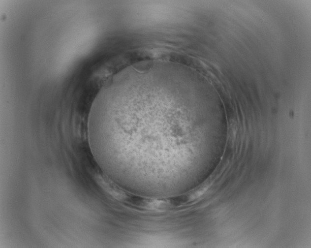 X0000088580527200706081126