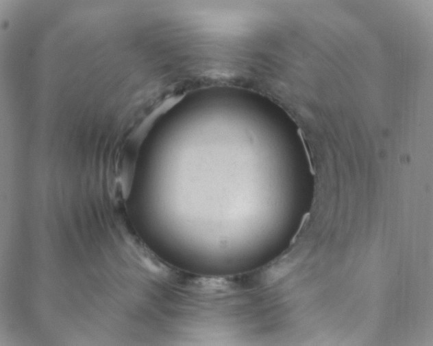 X0000088580528200706081126