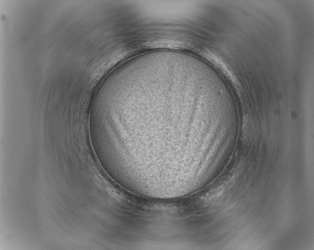 X0000088580529200706081125