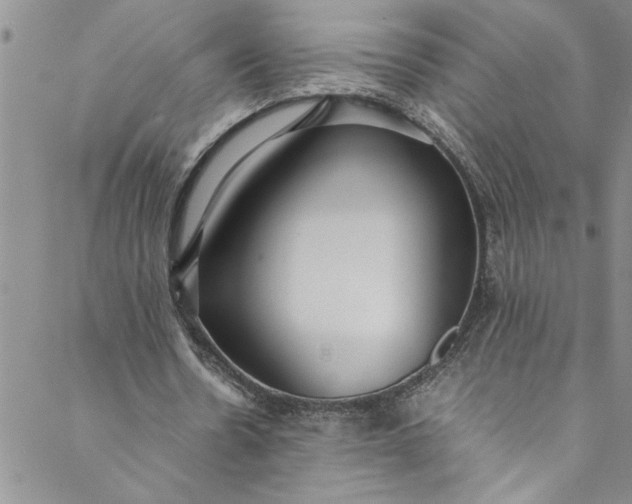 X0000088580530200706081125