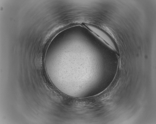 X0000088580531200706081125