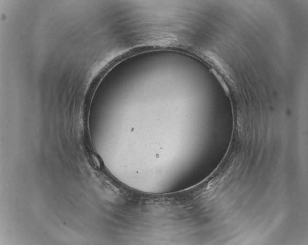 X0000088580532200706081125