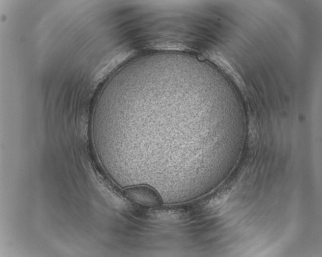 X0000088580533200706081125