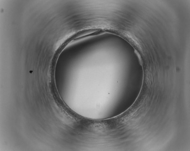 X0000088580536200706081125