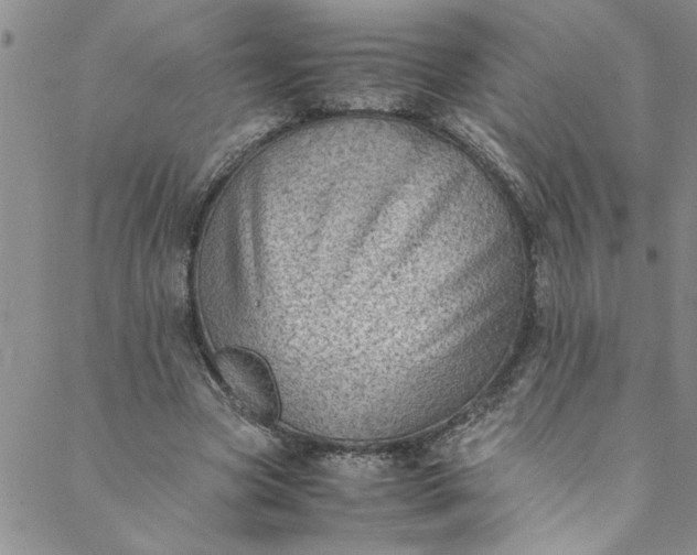 X0000088580537200706081125