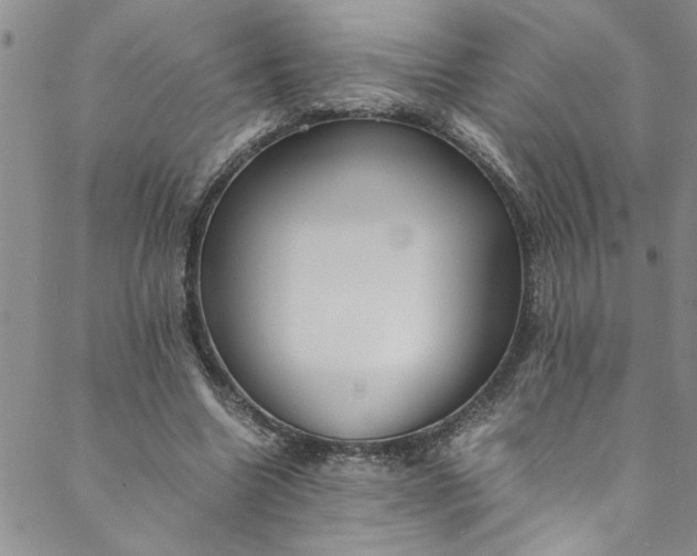 X0000088580538200706081125