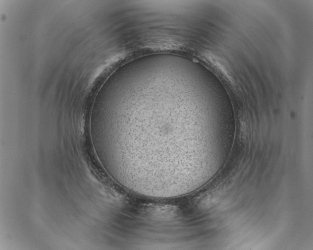 X0000088580539200706081125