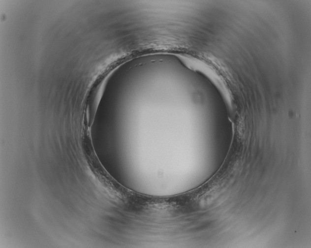 X0000088580540200706081125