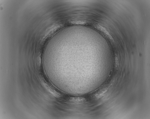 X0000088580541200706081125