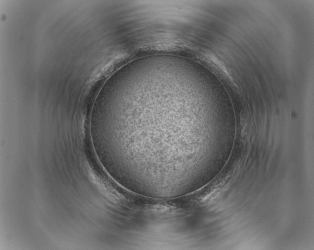 X0000088580542200706081125