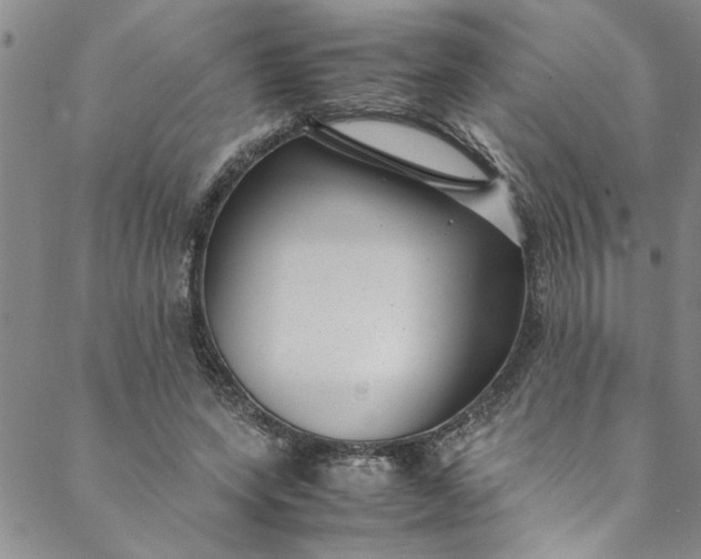 X0000088580543200706081125