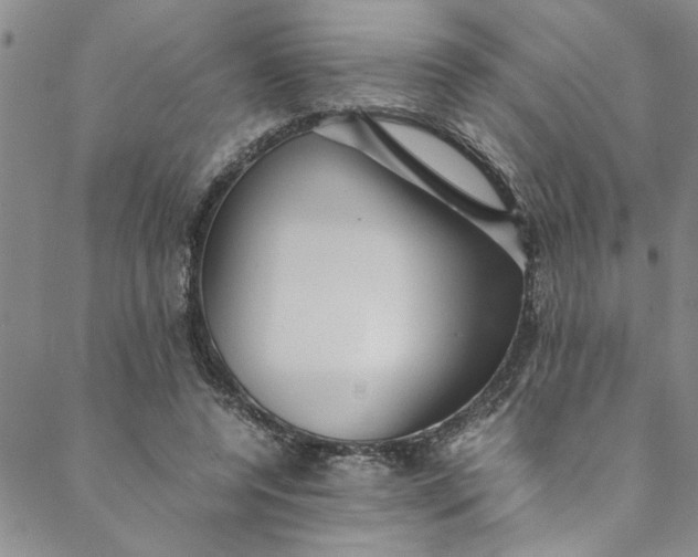 X0000088580544200706081125