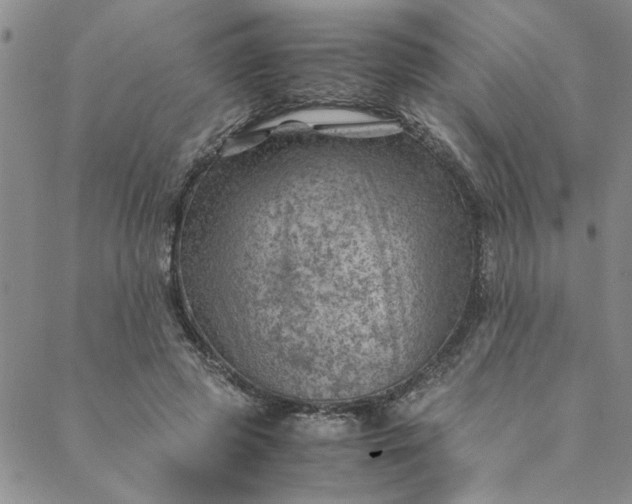 X0000088580545200706081125