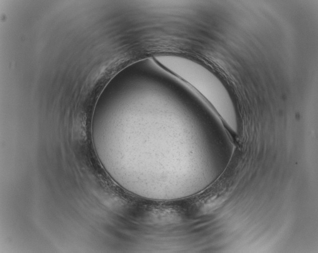 X0000088580547200706081125