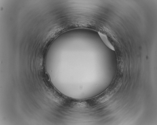 X0000088580548200706081125