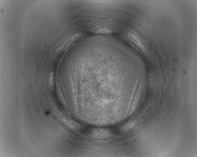 X0000088580549200706081125