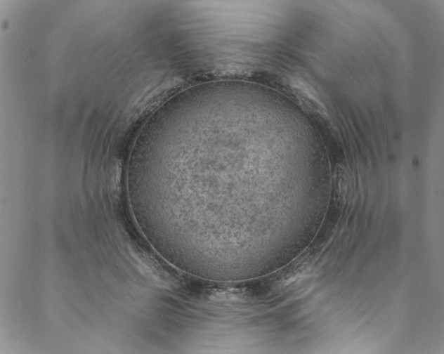 X0000088580550200706081125