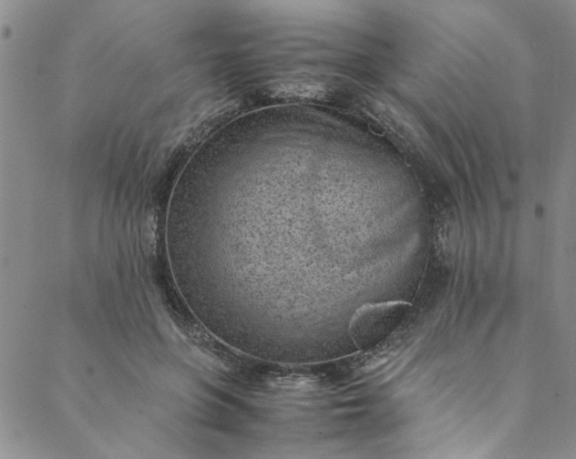 X0000088580551200706081125