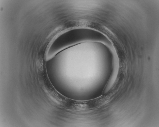 X0000088580552200706081125