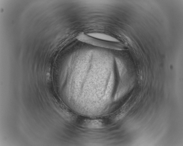 X0000088580553200706081125