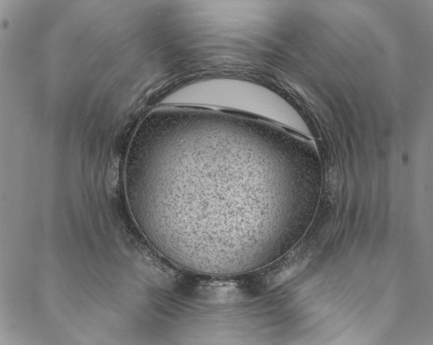 X0000088580554200706081125