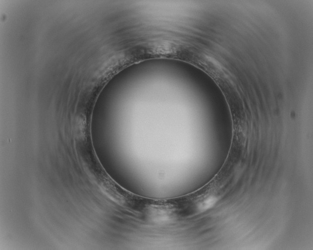 X0000088580556200706081125