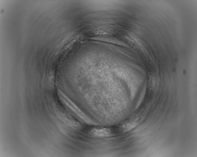 X0000088580557200706081125