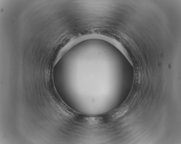 X0000088580558200706081125