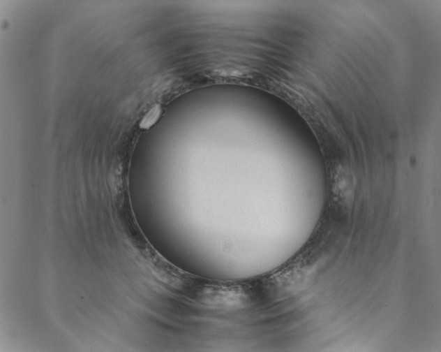 X0000088580559200706081125