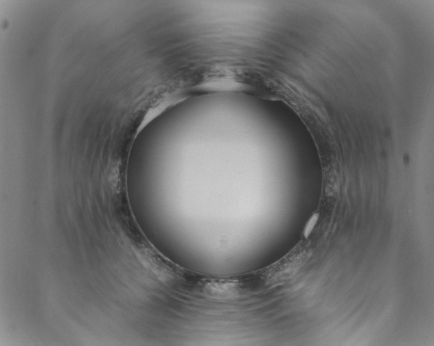 X0000088580560200706081125