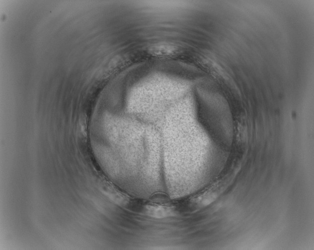 X0000088580561200706081125