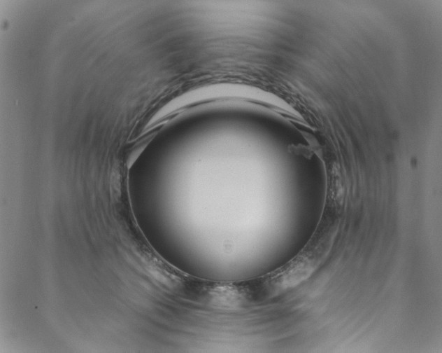 X0000088580562200706081125