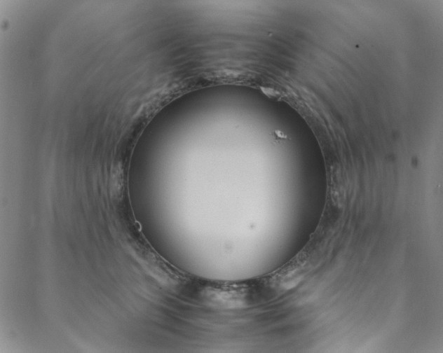 X0000088580563200706081125