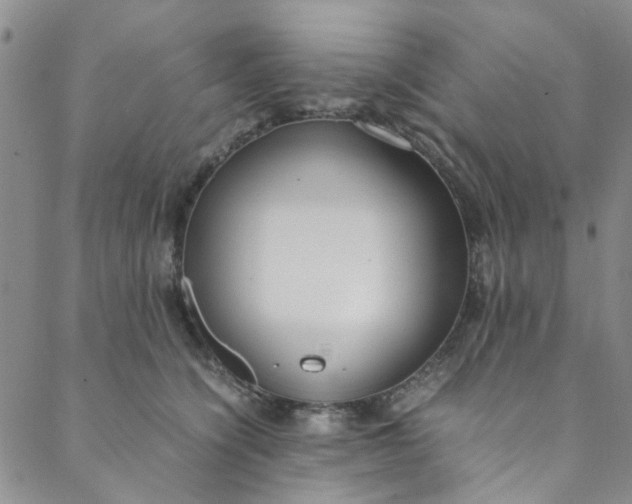 X0000088580564200706081125