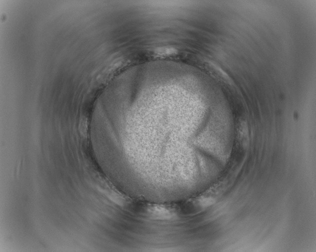 X0000088580565200706081125