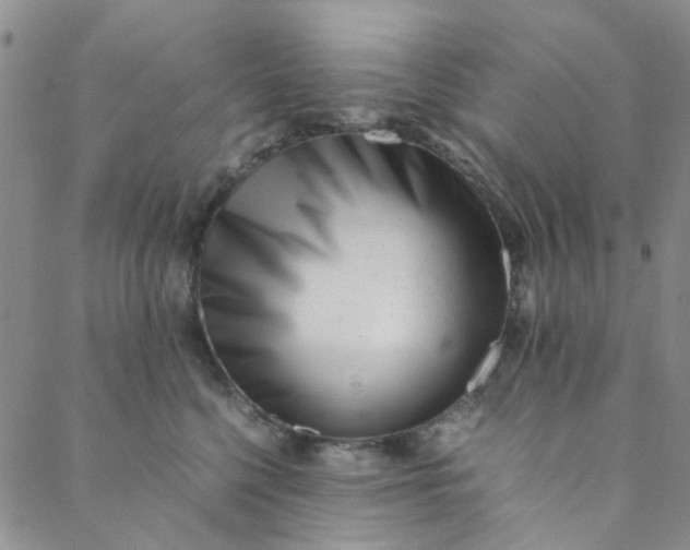 X0000088580568200706081125