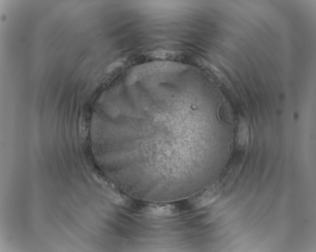 X0000088580569200706081125