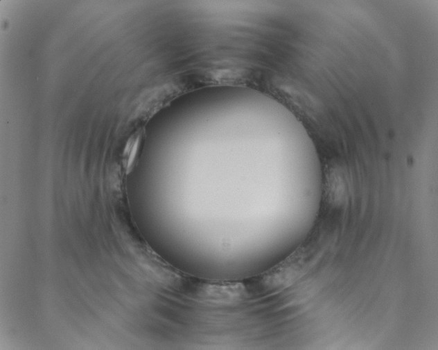 X0000088580571200706081126