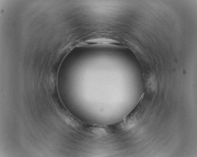 X0000088580572200706081126