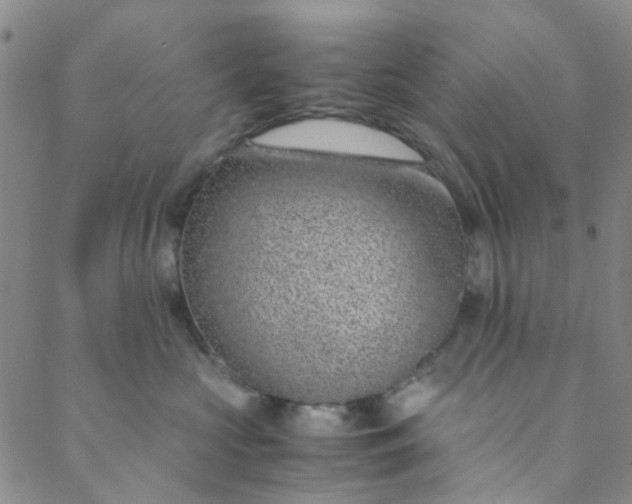 X0000088580573200706081126