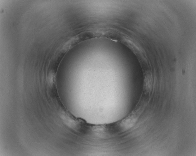 X0000088580574200706081126