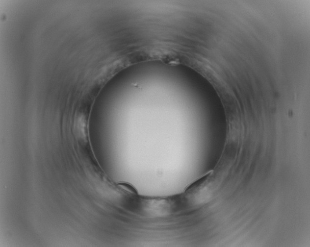 X0000088580575200706081126