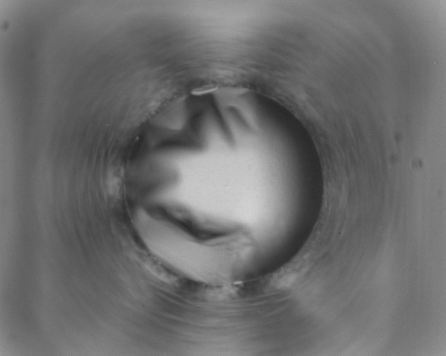 X0000088580576200706081126