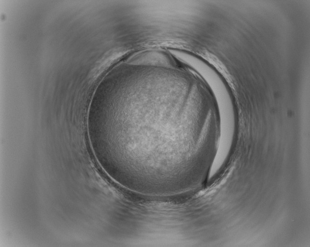 X0000088580577200706081125