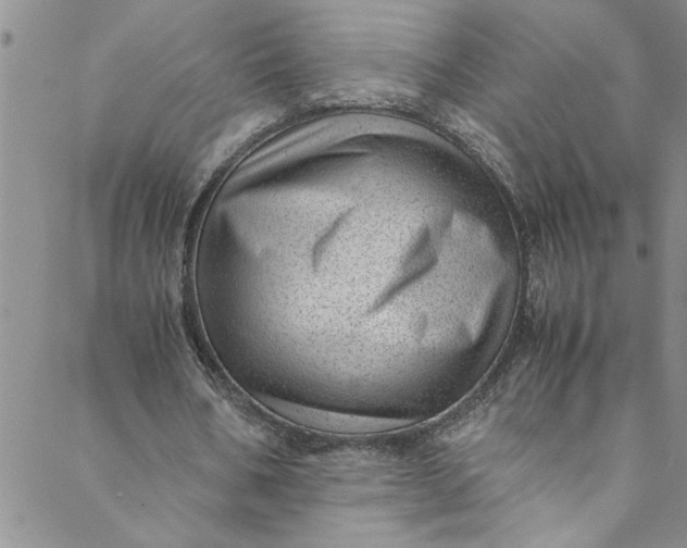 X0000088580578200706081125