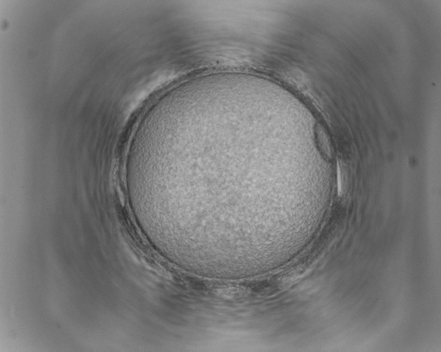 X0000088580579200706081125